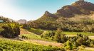 South Africa’s wine industry has reported a technically demanding but high-quality 2026 harvest, with producers overcoming climatic extremes to deliver concentrated wines with strong premium potential. Industry bodies said the vintage demonstrates both the adaptability of vineyard teams and South Africa’s growing focus on value-driven, premium wine production for global markets.
