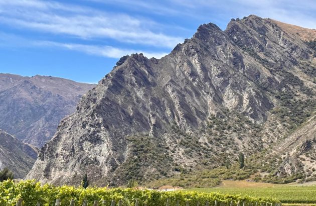 New Zealand winery Nevis Bluff enters Asia