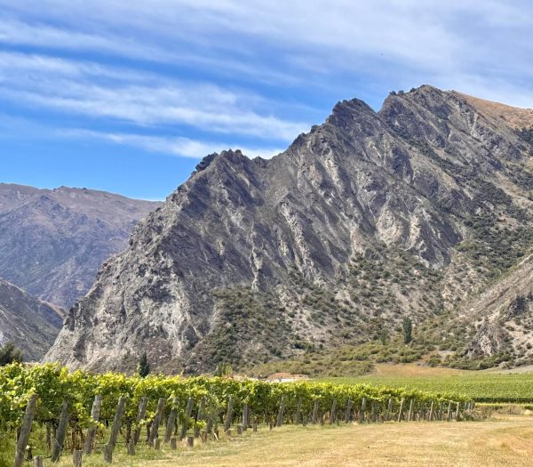 New Zealand winery Nevis Bluff enters Asia