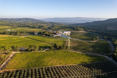 Beyond Vineyards’: How Château La Coste is carving its own path in the UK market