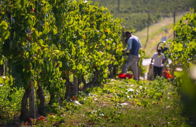 Argea shows the business sense in pushing sustainability