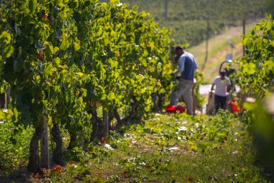 Argea shows the business sense in pushing sustainability