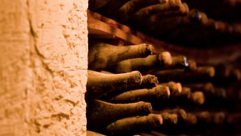 ‘Impressively fresh’ 1892 Château d’Yquem found under chapel floor