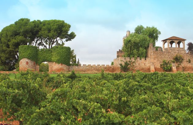 Jaume Serra uncovers Cava’s Mediterranean identity
