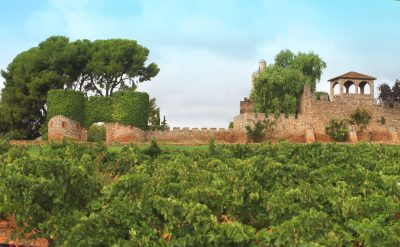 Jaume Serra uncovers Cava’s Mediterranean identity