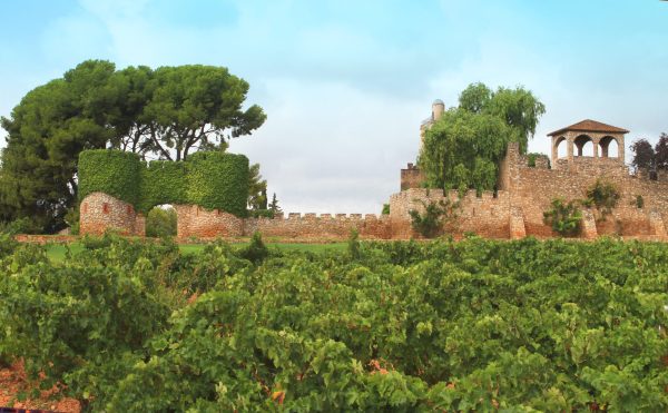 Jaume Serra uncovers Cava’s Mediterranean identity
