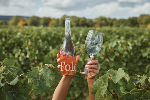 Champagne-baiting English wine brand invites public investment