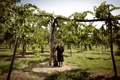 Old Vine photography shortlist unveiled at heritage showcase