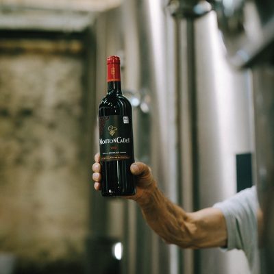 Why innovation runs in the veins at Mouton Cadet