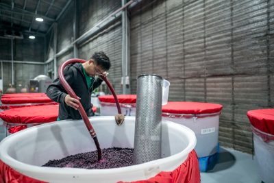 How Purple Rain is tackling the Chinese wine dilemma