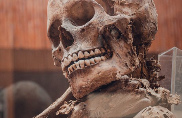 Scientists to brew beer with yeast from mummified remains