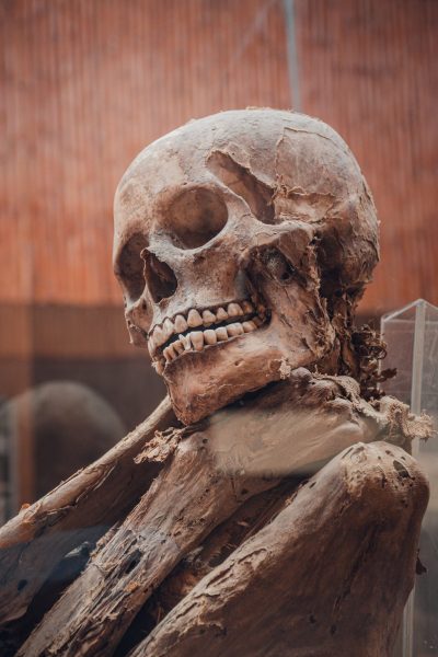 Scientists to brew beer with yeast from mummified remains