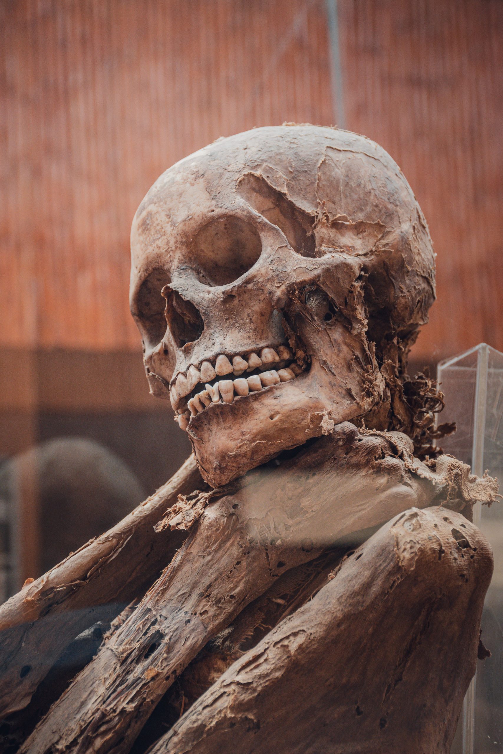 Scientists to brew beer with yeast from mummified remains