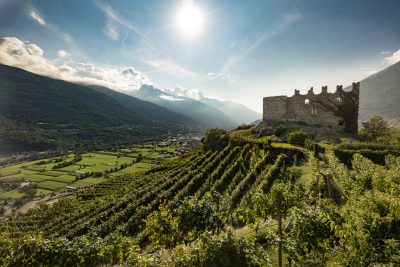 Enotria adds record number of new producers