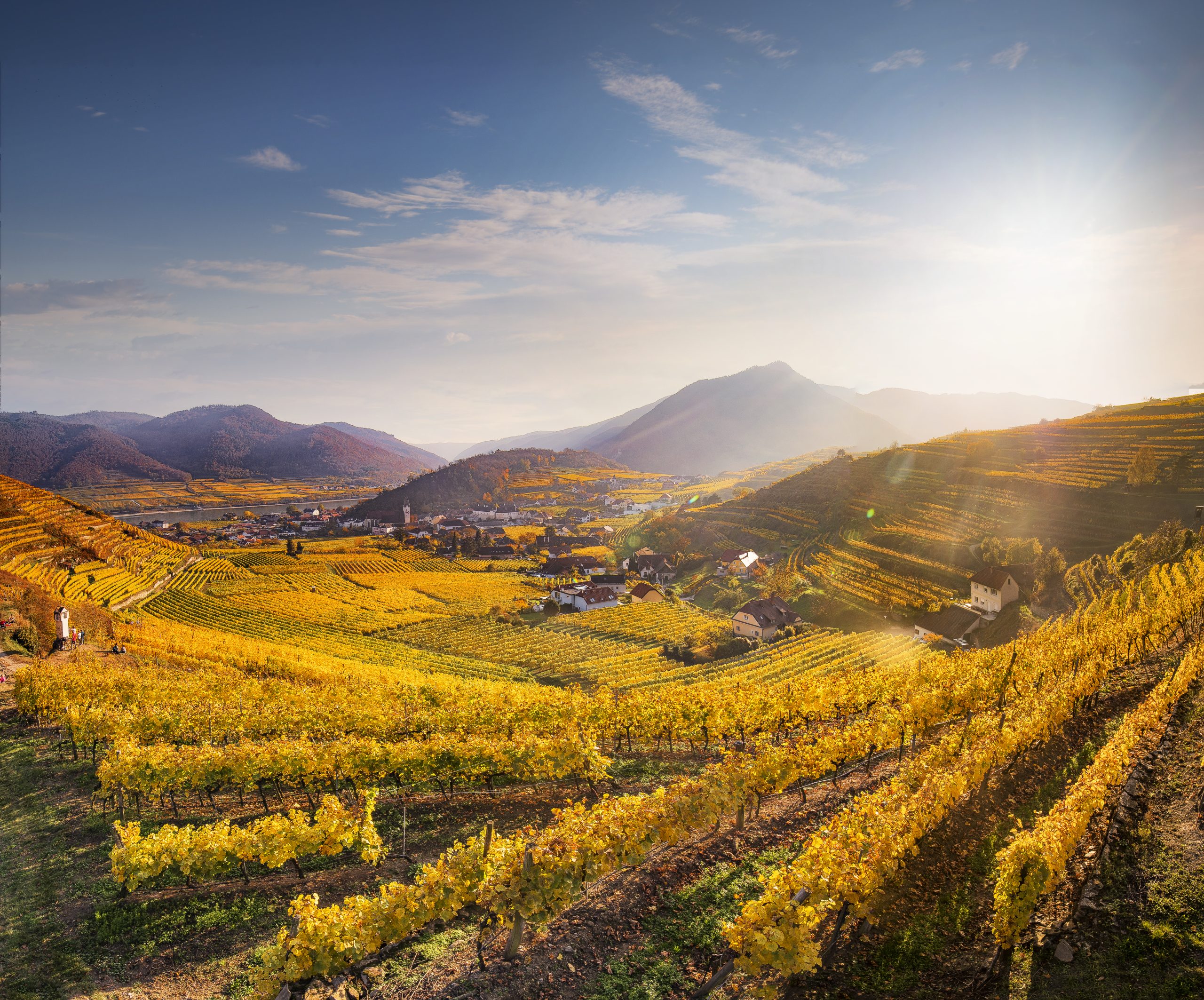 Why diversity is Grüner Veltliner's ace in the hole