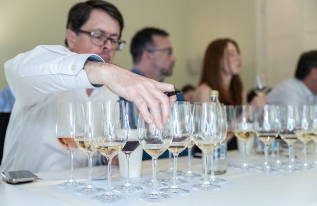 Cono Sur shows off terroir-led range