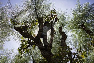 #WeekInPictures: Dom Pérignon, Bollinger and old vines