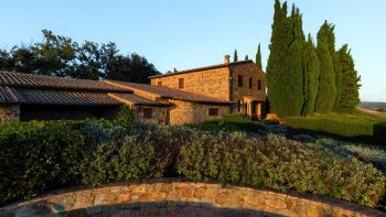 Italian icon wines strike ‘landmark partnership’ with Fells in UK