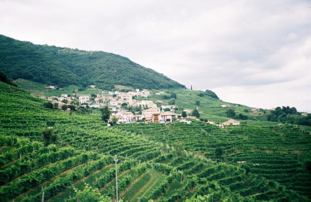 Andreola takes Prosecco expertise into the Dolomites