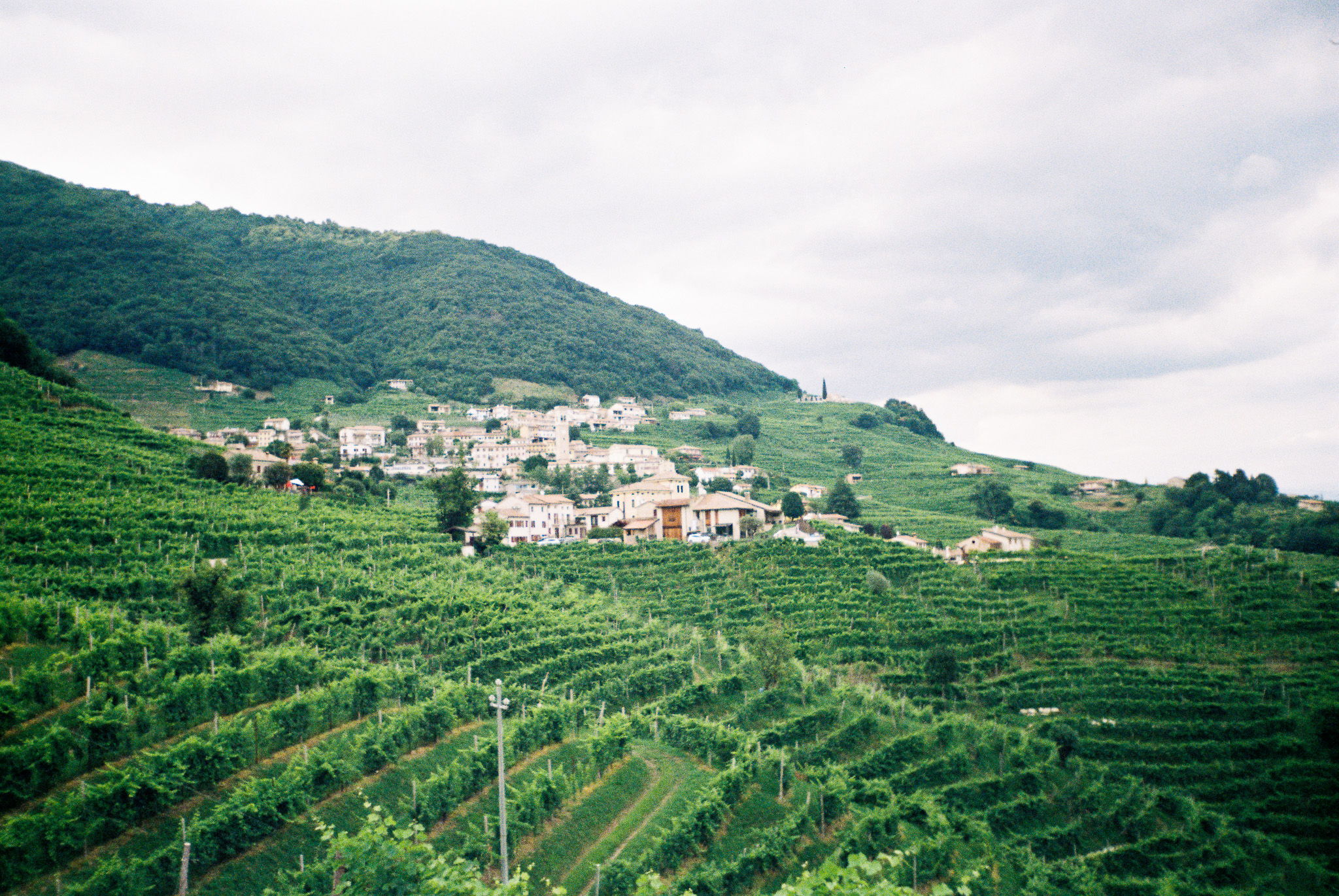 Andreola takes Prosecco expertise into the Dolomites