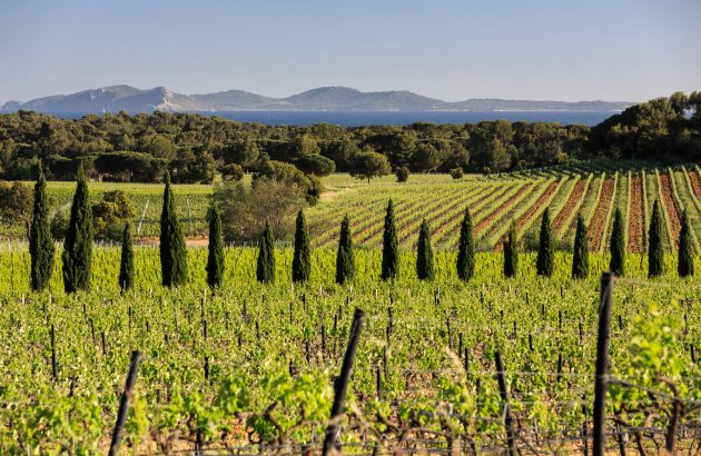Exploring the ‘living heritage’ of Château Sainte Marguerite