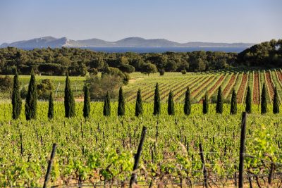 Exploring the ‘living heritage’ of Château Saint Marguerite
