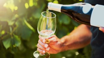 Online searches ‘through the roof’ for Sancerre and chilled reds