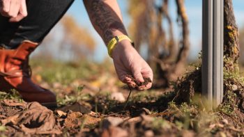 Climate pressures put soil in the spotlight