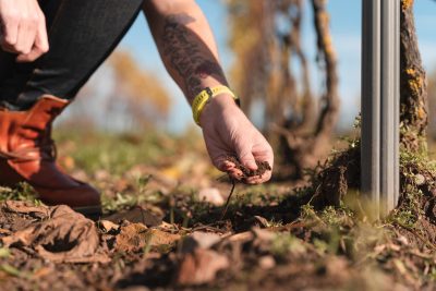 Climate pressures put soil in the spotlight