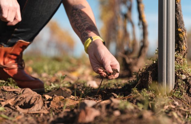 Climate pressures put soil in the spotlight