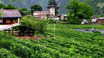 Why China could be fine wine’s next success story