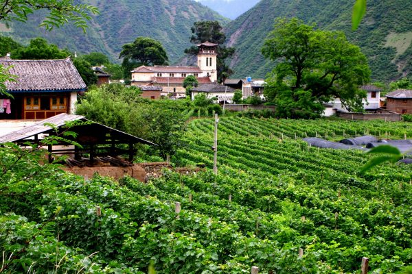 Why China could be fine wine’s next success story
