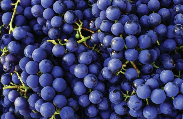 All the medallists from The Global Cabernet Sauvignon Masters 2026