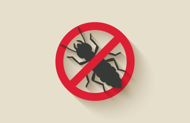 California wineries request US$32 million to fight vineyard pest