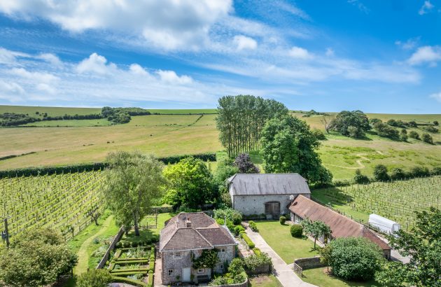 Breaky Bottom, one of England’s oldest and most revered vineyards, goes on sale for first time