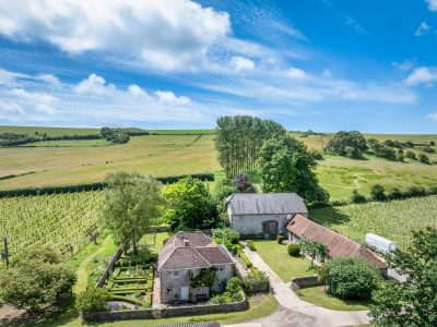 Breaky Bottom, one of England’s oldest and most revered vineyards, goes on sale for first time