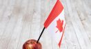 Canadian non-profit association for cider makers Cider Canada has received federal support to expand into international markets. db looks into what this could mean for the category's prosperity.