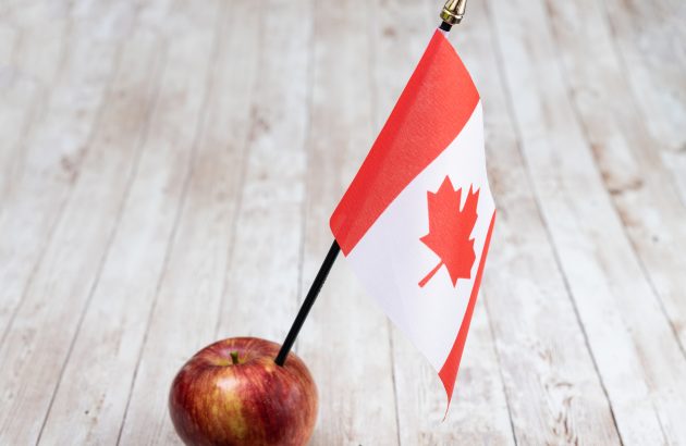 Why the world is about to see more Canadian cider