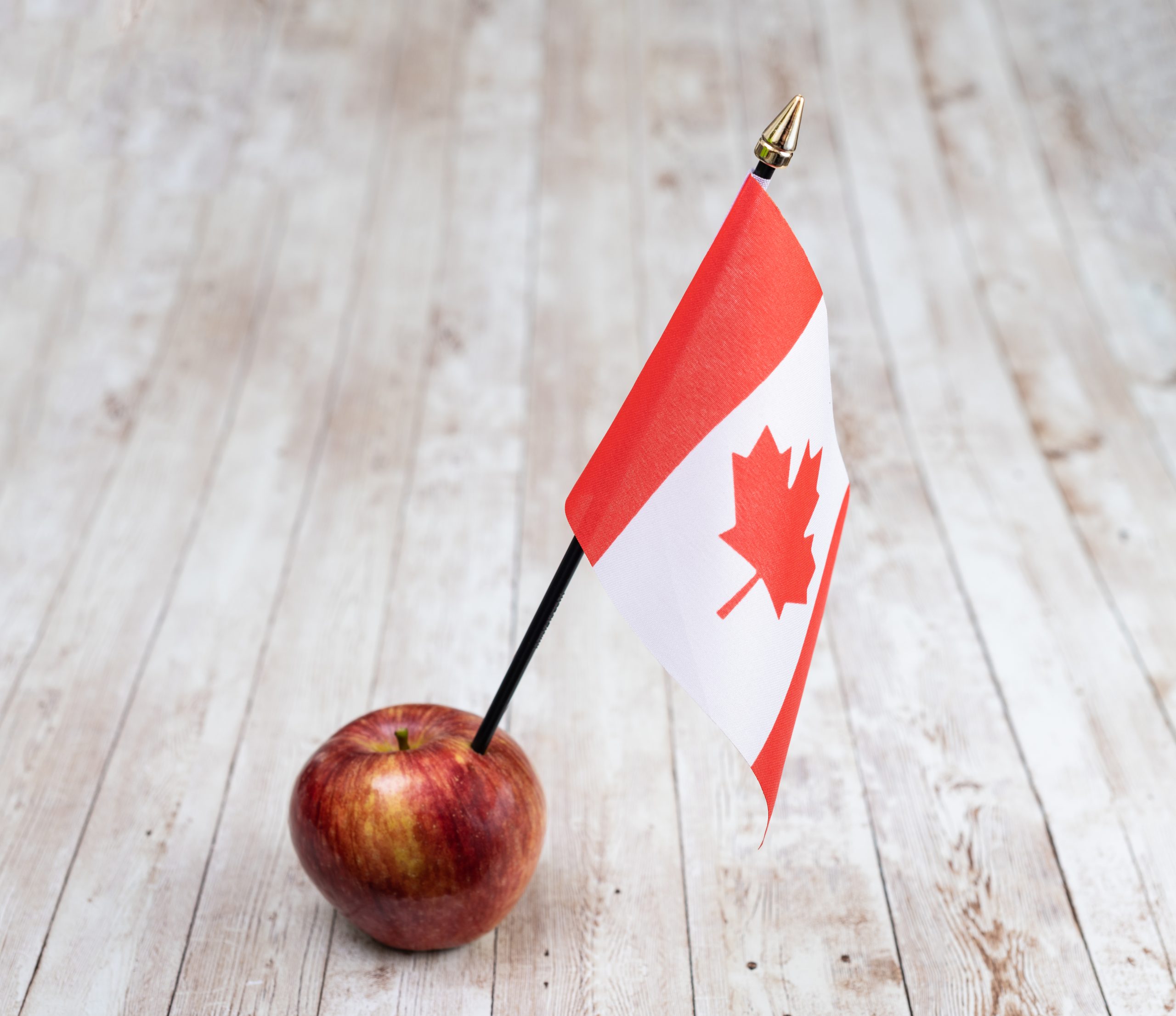 Why the world is about to see more Canadian cider