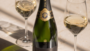 Tasting Pol Roger Champagne from ‘truly remarkable vintage’