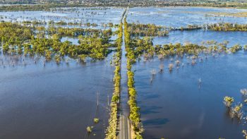 TWE puts Riverland wine estate up for sale