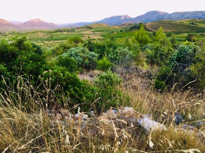 Roc des Anges: ‘There are easier places to make wine’