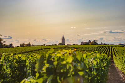 Bordeaux vineyard values plunge as wine sales fall below three million hectolitres