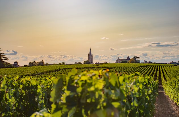 Bordeaux vineyard values plunge as wine sales fall below three million hectolitres