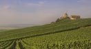 France's prolonged summer heat and drought are shrinking grape development across major wine regions, with Champagne growers expecting yields to fall around 10% and harvests beginning weeks earlier than normal.