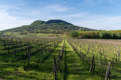 From innovation to gastronomy: why Hungary is having a moment