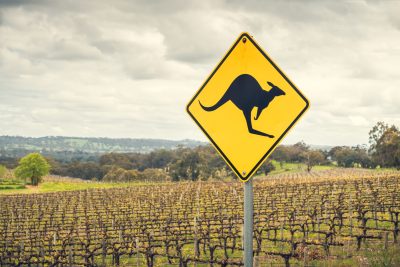 Saint Wine and Cru Wines join forces