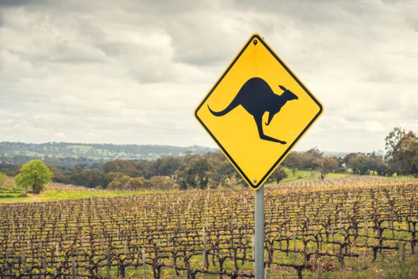 Saint Wine and Cru Wines join forces