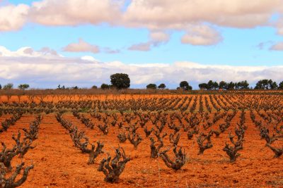 Manchuela broadens wine styles and relaxes bottling rules