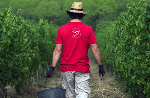 Spain’s Juvé & Camps begins earliest-ever harvest